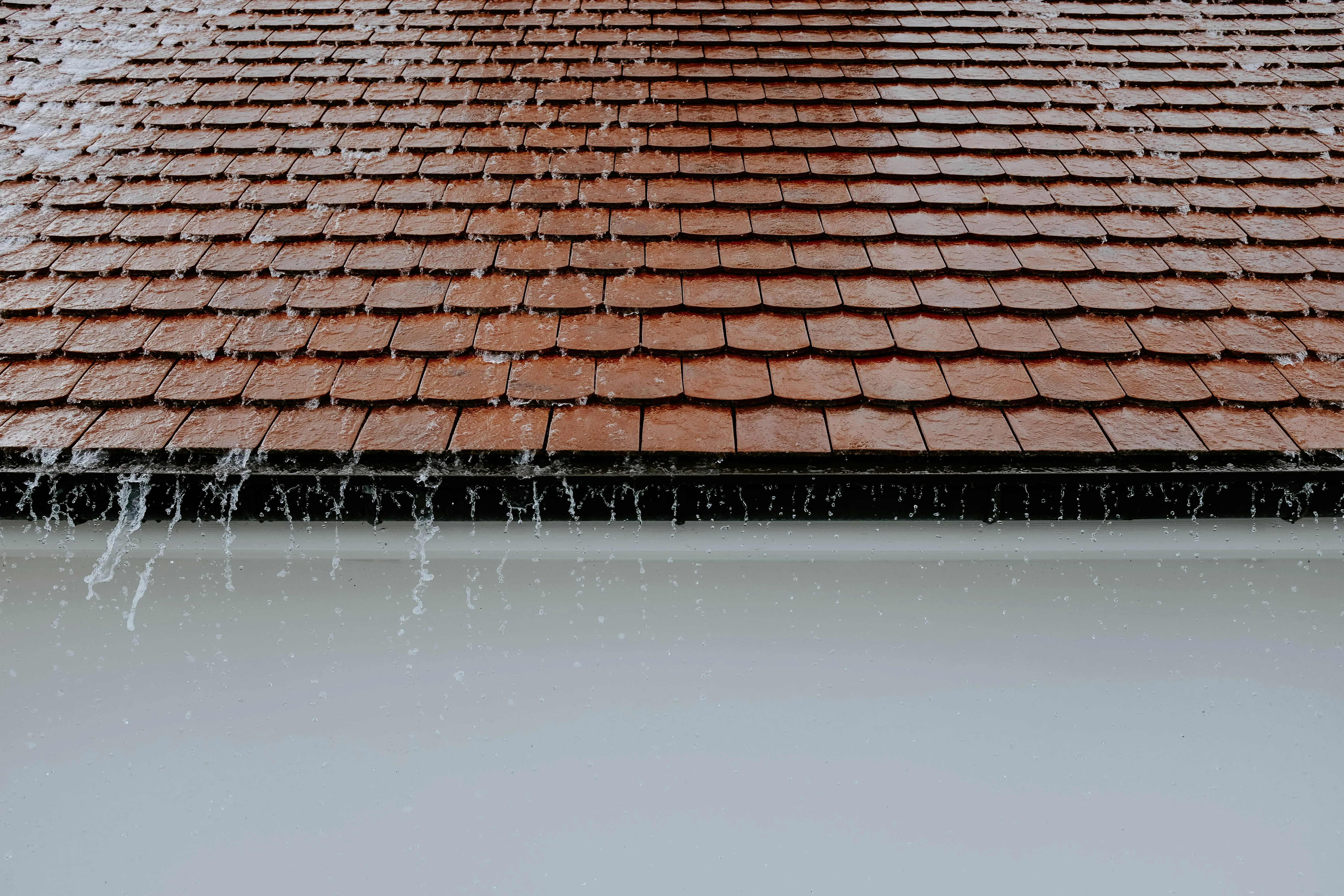 Professional Moss Removal & Roof Cleaning in Kilmarnock, Ayrshire - IC Roofing services